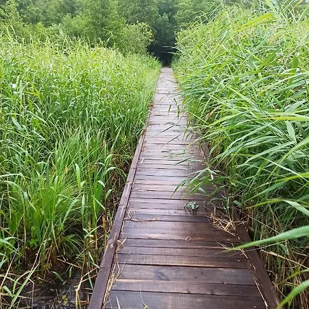 Apartameny Wiktoria I Nikola W Karwiku