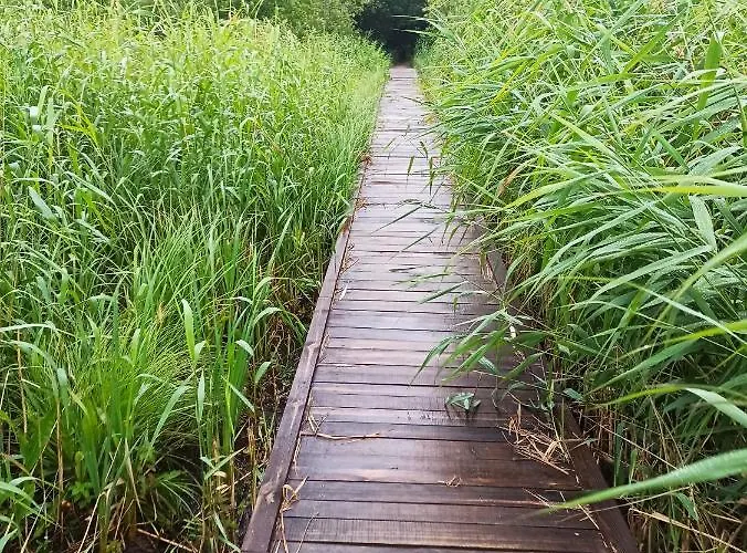 Apartameny Wiktoria I Nikola W Karwiku